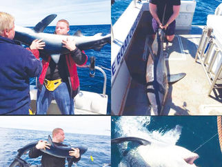 Big Game Fishing