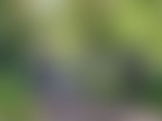 Formby locals urged to rediscover love of cycling