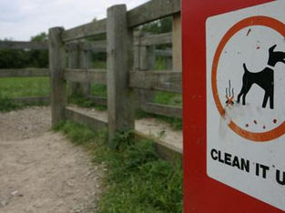 New powers now in force for dropping litter and not picking up dog waste in Formby