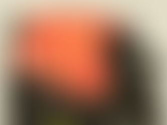 Two days of workshops - The One Pot Project at Formby Library