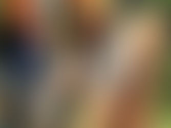 Now everyone can see a Sand Lizard – thanks to Simon