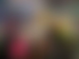 Formby Stormers ladies running group's aim is to reach a £5,000 target to sponsor a guide dog an