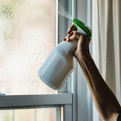 Avoid These Window Cleaning Products for Sparkling Results