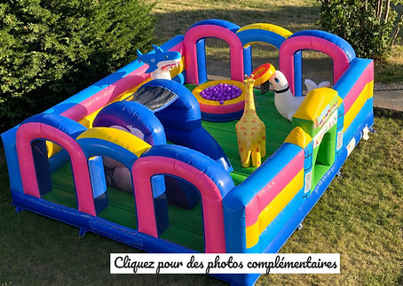 chateau gonflable festivloc - piscine à boules - structure gonflable_edited.jpg