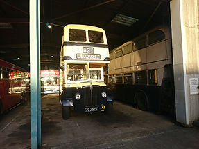 DSC_3081.JPG