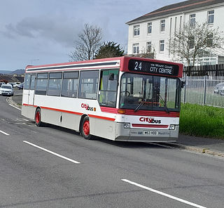 20240414_104140.jpg