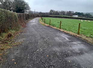 20241119_083042.jpg