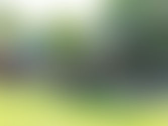 AO Family Reunited: June Workshop