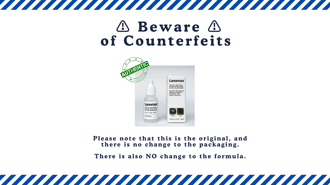 Copy of Stay safe and be vigilant (Website).png