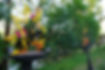 DSC04695.JPG
