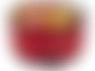 Churrasqueira a Carvão Portátil com Assadeira