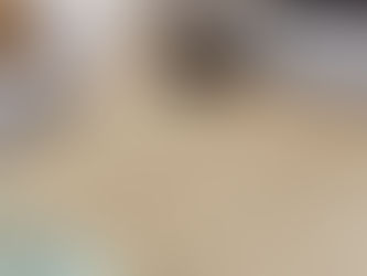 Tapete Liso para Sala e Quarto 150x200