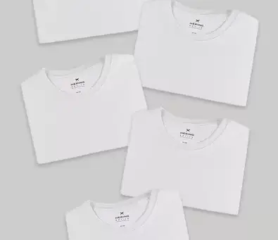 Kit 5 Camisetas Femininas Básicas - Hering