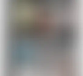 Guarda Roupa Dobrável Organizador