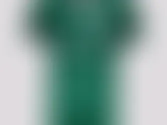 Camisa Palmeiras Jogador Oficial I 2025/26