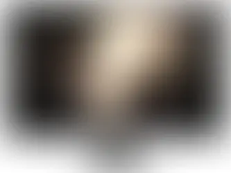 Monitor para PC Philips V Line - 18,5"