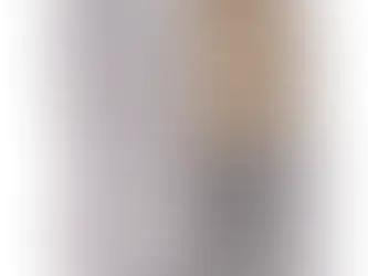 Jogo De Pano De Prato 10 Unidades Premium