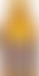 Chivas Regal Whisky 12 anos Escocês 1L