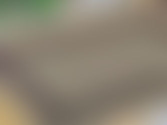 Tapete Para Sala Quarto Sisal 2,00x1,50m