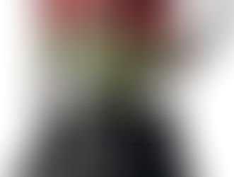 Liquidificador Mondial, 550W, 220V