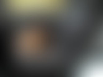 Capa Protetora Traseira Auto Pet