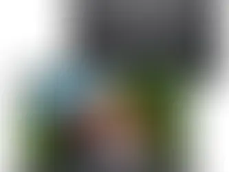 Notebook Dell Inspiron 15.6"