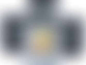 Recipientes Bento 20 unidades