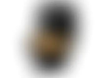 Fritadeira Air Fryer Mondial Preta 3,5L