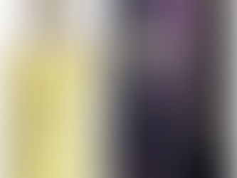 Gabriela Sabatini Eau de Toilette 60Ml