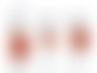 Vichy shampoo + condicionador + Leave In