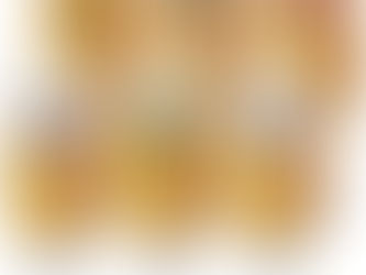 Jogo de Taças Royal Beer 330ml 6 Pcs