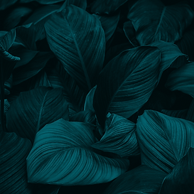 Untitled-3-2.png