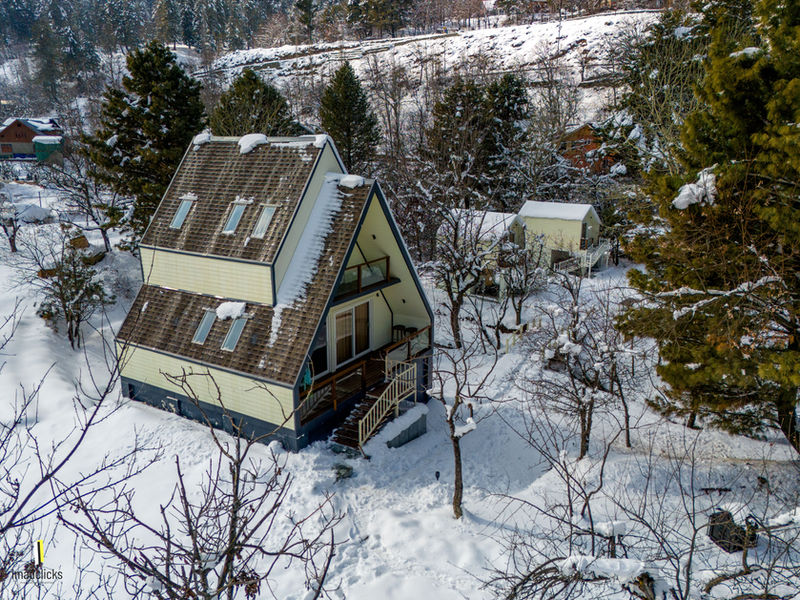 Olive Chalet, Tangmarg
