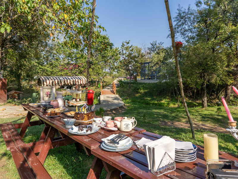 Olive Chalet, Tangmarg living room
