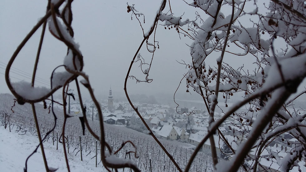 20170110_091114.jpg