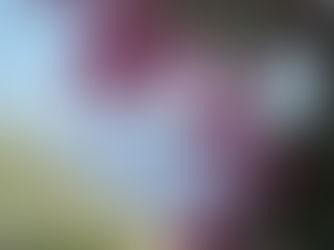 Explore Madeira, the Island of Eternal Spring, with its vibrant markets, lush levada trails, thrilling Monte toboggan rides, and unforgettable local flavors.