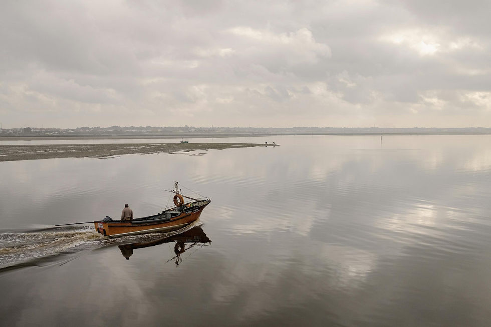 Small traditional boat navigating on the calm waters of the Aveiro Lagoon