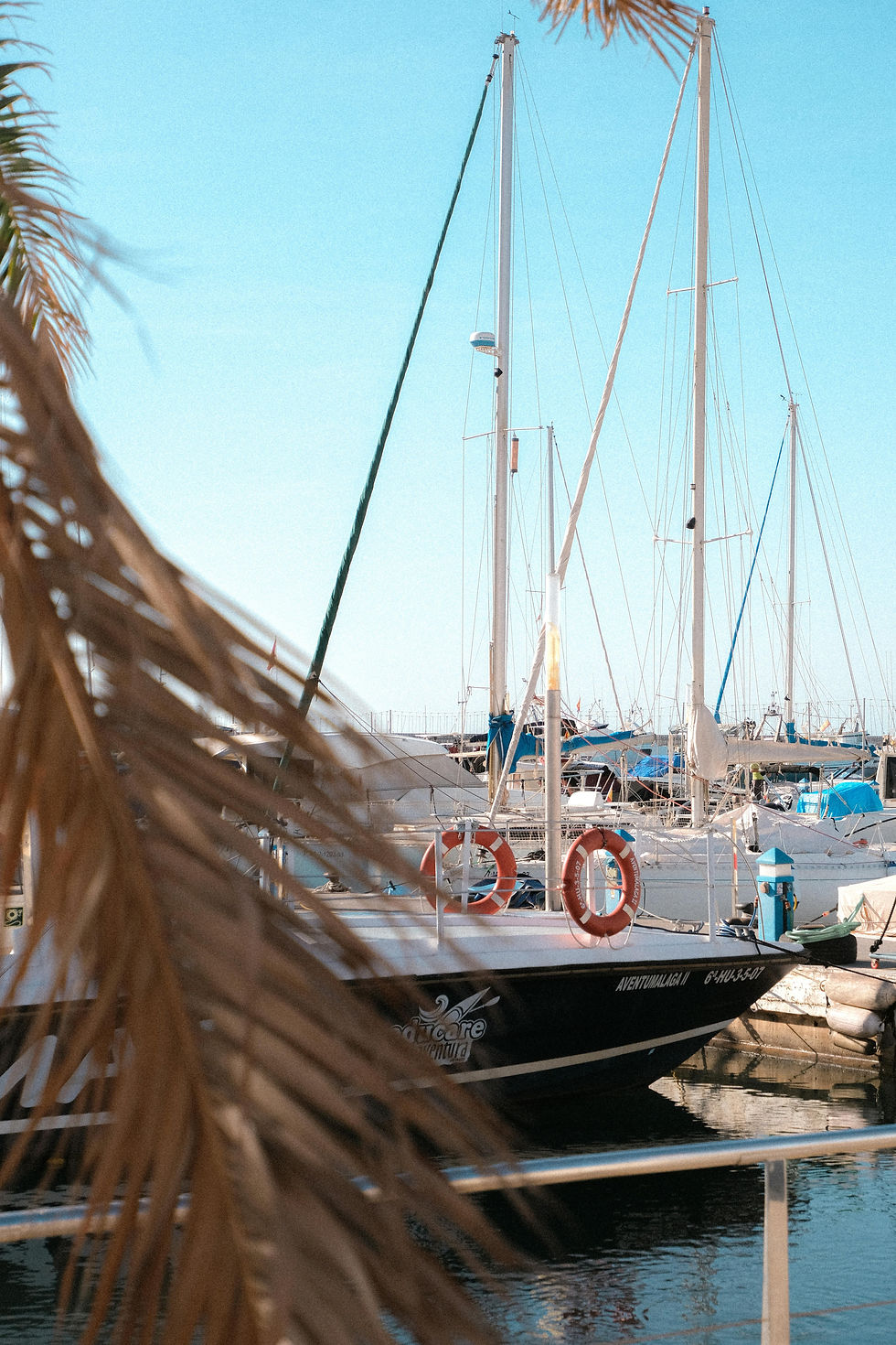 Close-up view of a traditional Portuguese fishing boat docked at Lagos marina