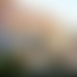 Must-See Stops on Your Road Trip in Portugal