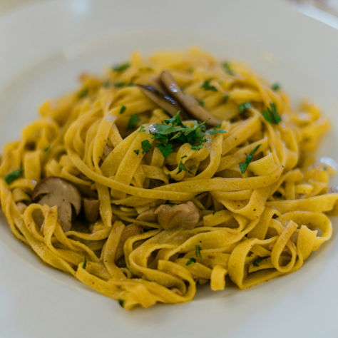 Pasta Passport: Touring Italy Through Its Pasta Shapes