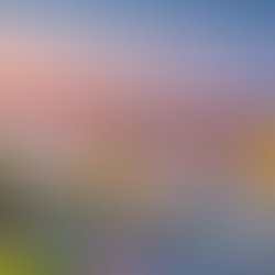 Culinary Delights in Budapest: A Food Lover's Guide