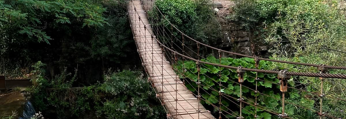Hiking Trail to explore in the vibrant Nature of Tbilisi