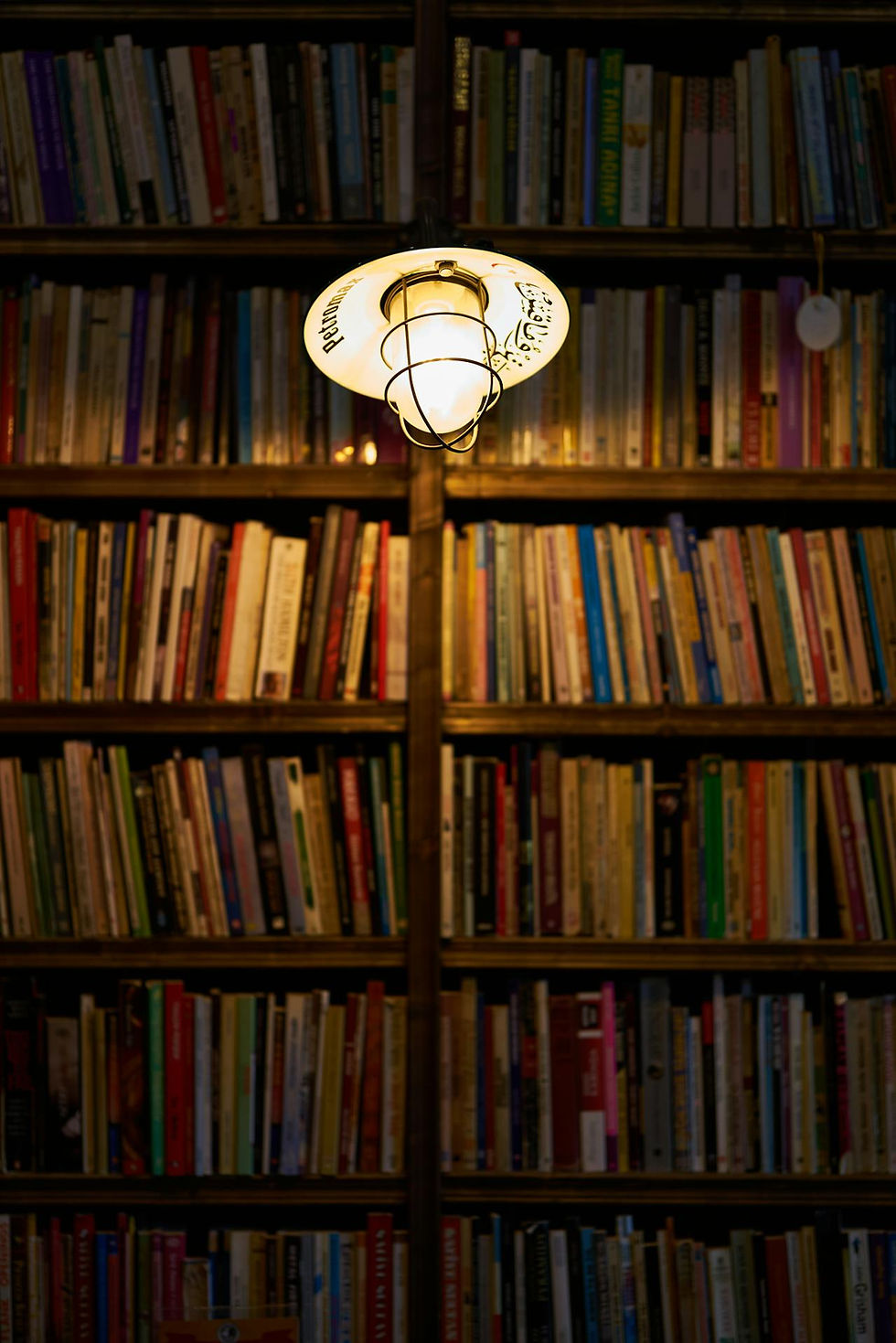 Dimly lit library with colorful books on wooden shelves. A vintage light fixture hangs in front, casting a warm glow.