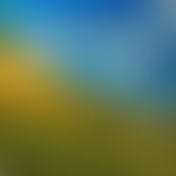 Portuguese Wine Trails: From Vineyards to Cellars