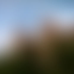 Top 5 Castles to Visit in Transylvania