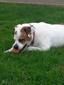 20140915_101410_edited.jpg