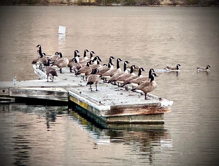 Sun Cove Photo Gallery Lake Entiat Sun Cove