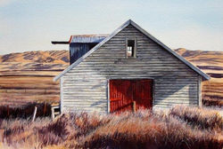 White barn North Canterbury