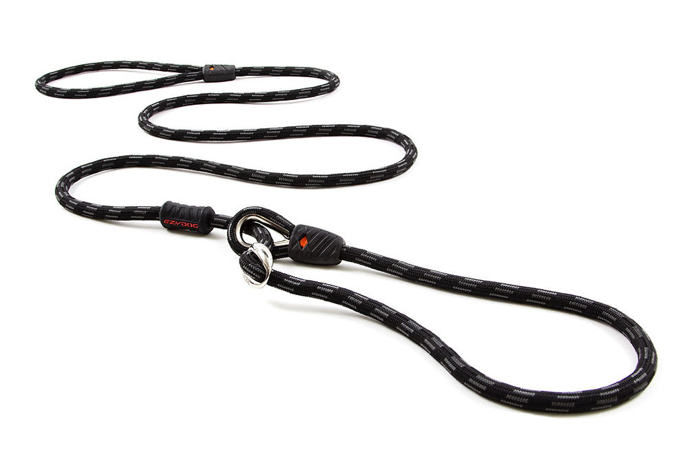 サムネイル： EZY DOG ルカリードライト　LUCA LITE LEASH