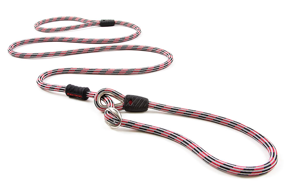 サムネイル： EZY DOG ルカリードライト　LUCA LITE LEASH